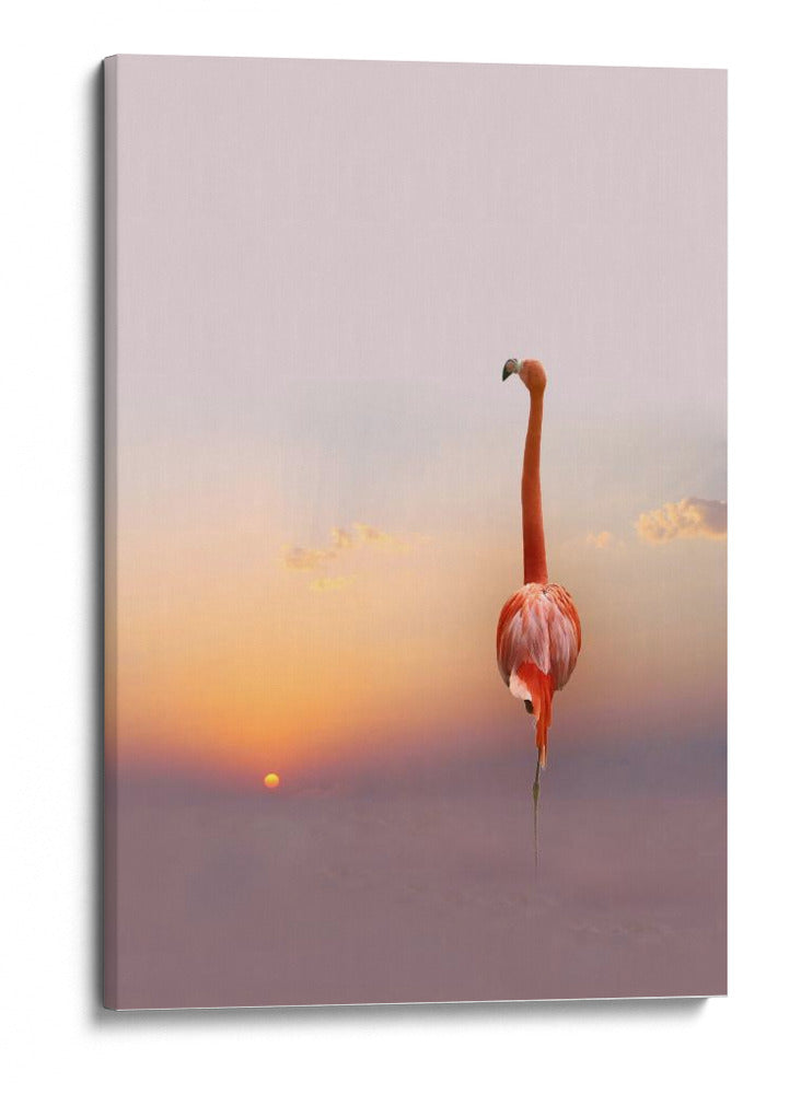 Cielo al atardecer con flamencos rosas - Anna Cseresnjes | Cuadro decorativo de Canvas Lab