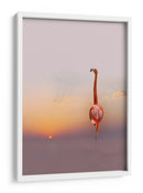 Cielo al atardecer con flamencos rosas - Anna Cseresnjes | Cuadro decorativo de Canvas Lab