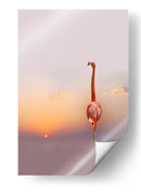 Cielo al atardecer con flamencos rosas - Anna Cseresnjes | Cuadro decorativo de Canvas Lab