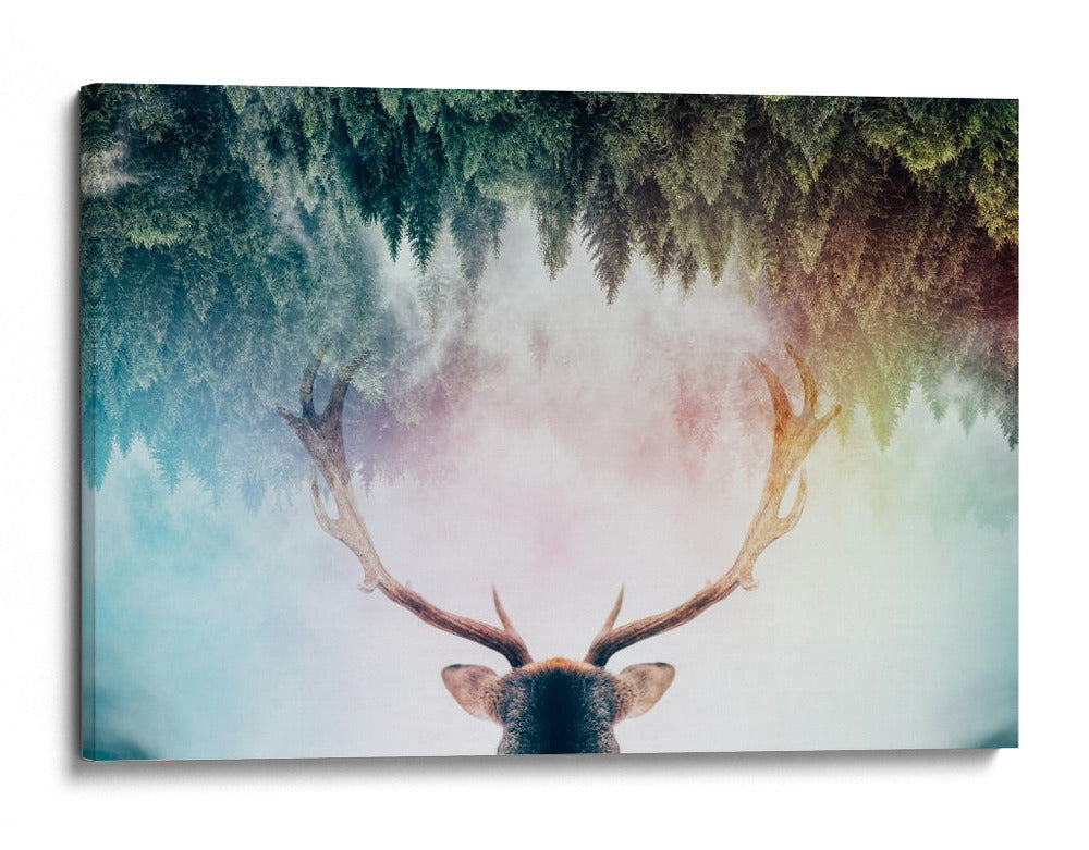 Ciervo del bosque místico - Angyalosi Beata | Cuadro decorativo de Canvas Lab