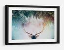Ciervo del bosque místico - Angyalosi Beata | Cuadro decorativo de Canvas Lab