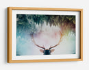 Ciervo del bosque místico - Angyalosi Beata | Cuadro decorativo de Canvas Lab