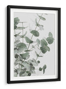 Eucalipto verde apagado - Fluidys Studio III | Cuadro decorativo de Canvas Lab