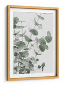 Eucalipto verde apagado - Fluidys Studio III | Cuadro decorativo de Canvas Lab
