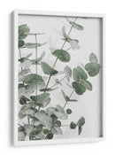 Eucalipto verde apagado - Fluidys Studio III | Cuadro decorativo de Canvas Lab