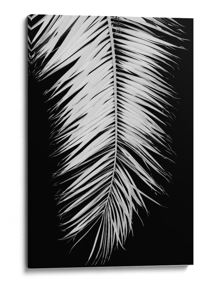 Elegancia de palmera monocromática - Fluidys Studio III | Cuadro decorativo de Canvas Lab