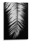 Elegancia de palmera monocromática - Fluidys Studio III | Cuadro decorativo de Canvas Lab