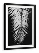 Elegancia de palmera monocromática - Fluidys Studio III | Cuadro decorativo de Canvas Lab