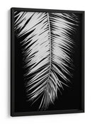Elegancia de palmera monocromática - Fluidys Studio III | Cuadro decorativo de Canvas Lab