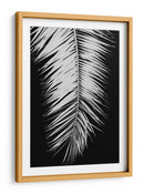Elegancia de palmera monocromática - Fluidys Studio III | Cuadro decorativo de Canvas Lab