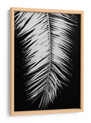 Elegancia de palmera monocromática - Fluidys Studio III | Cuadro decorativo de Canvas Lab