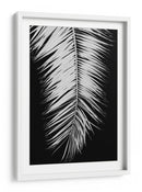 Elegancia de palmera monocromática - Fluidys Studio III | Cuadro decorativo de Canvas Lab