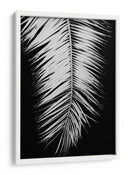 Elegancia de palmera monocromática - Fluidys Studio III | Cuadro decorativo de Canvas Lab