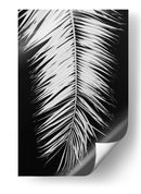 Elegancia de palmera monocromática - Fluidys Studio III | Cuadro decorativo de Canvas Lab