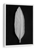 Elegante pluma blanca - Fluidys Studio III | Cuadro decorativo de Canvas Lab