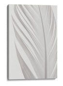 Delicada pluma blanca - Fluidys Studio III | Cuadro decorativo de Canvas Lab
