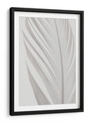 Delicada pluma blanca - Fluidys Studio III | Cuadro decorativo de Canvas Lab