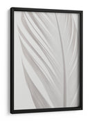 Delicada pluma blanca - Fluidys Studio III | Cuadro decorativo de Canvas Lab