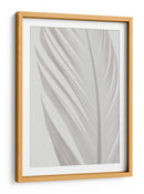 Delicada pluma blanca - Fluidys Studio III | Cuadro decorativo de Canvas Lab