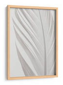 Delicada pluma blanca - Fluidys Studio III | Cuadro decorativo de Canvas Lab