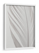 Delicada pluma blanca - Fluidys Studio III | Cuadro decorativo de Canvas Lab