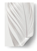 Delicada pluma blanca - Fluidys Studio III | Cuadro decorativo de Canvas Lab