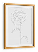 Elegante ilustración de peonía en línea - Fluidys Studio II | Cuadro decorativo de Canvas Lab