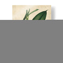 Orquídea Sofisticada I | Cuadro decorativo de Canvas Lab