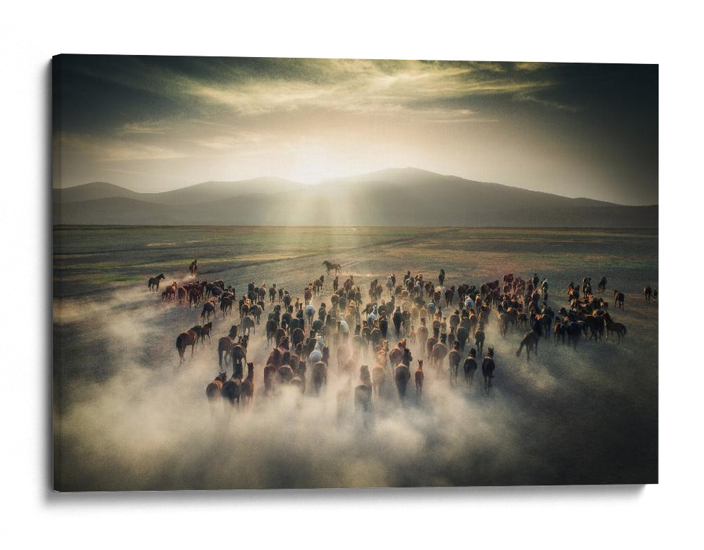 Estampida de caballos salvajes - Cuma Cevik | Cuadro decorativo de Canvas Lab