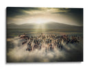 Estampida de caballos salvajes - Cuma Cevik | Cuadro decorativo de Canvas Lab