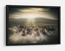 Estampida de caballos salvajes - Cuma Cevik | Cuadro decorativo de Canvas Lab