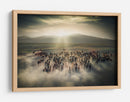 Estampida de caballos salvajes - Cuma Cevik | Cuadro decorativo de Canvas Lab