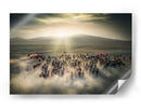 Estampida de caballos salvajes - Cuma Cevik | Cuadro decorativo de Canvas Lab