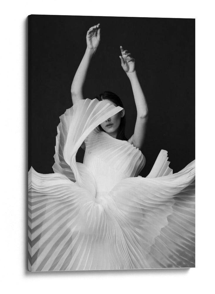 Elegante danza de telas - Peyman Naderi | Cuadro decorativo de Canvas Lab