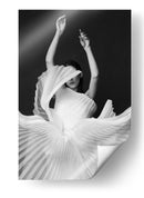Elegante danza de telas - Peyman Naderi | Cuadro decorativo de Canvas Lab