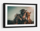 Familia de caballos salvajes armoniosos - Marcus Hennen | Cuadro decorativo de Canvas Lab