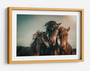 Familia de caballos salvajes armoniosos - Marcus Hennen | Cuadro decorativo de Canvas Lab
