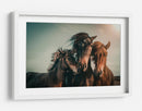 Familia de caballos salvajes armoniosos - Marcus Hennen | Cuadro decorativo de Canvas Lab