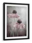 Ecos de la canción del Helenium eterno - Mandy Disher | Cuadro decorativo de Canvas Lab