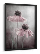 Ecos de la canción del Helenium eterno - Mandy Disher | Cuadro decorativo de Canvas Lab
