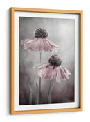 Ecos de la canción del Helenium eterno - Mandy Disher | Cuadro decorativo de Canvas Lab