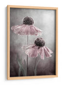 Ecos de la canción del Helenium eterno - Mandy Disher | Cuadro decorativo de Canvas Lab