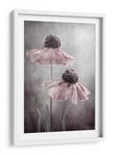Ecos de la canción del Helenium eterno - Mandy Disher | Cuadro decorativo de Canvas Lab