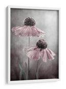 Ecos de la canción del Helenium eterno - Mandy Disher | Cuadro decorativo de Canvas Lab