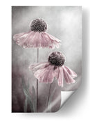 Ecos de la canción del Helenium eterno - Mandy Disher | Cuadro decorativo de Canvas Lab