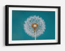 Deseo de diente de león esponjoso - Bess Hamiti | Cuadro decorativo de Canvas Lab