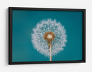 Deseo de diente de león esponjoso - Bess Hamiti | Cuadro decorativo de Canvas Lab