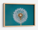 Deseo de diente de león esponjoso - Bess Hamiti | Cuadro decorativo de Canvas Lab