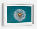 Deseo de diente de león esponjoso - Bess Hamiti | Cuadro decorativo de Canvas Lab