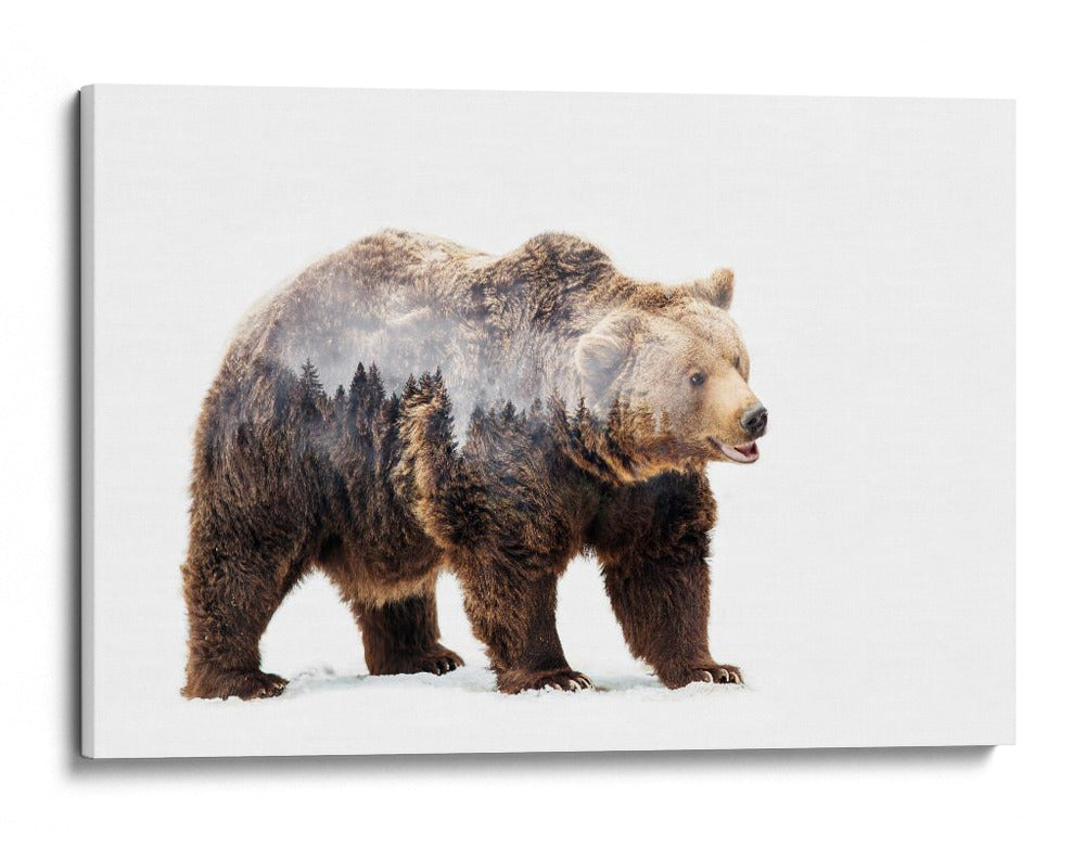 Espíritu del oso del bosque - Angyalosi Beata | Cuadro decorativo de Canvas Lab